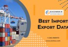 How to Build a Profitable Import Export Business Model.