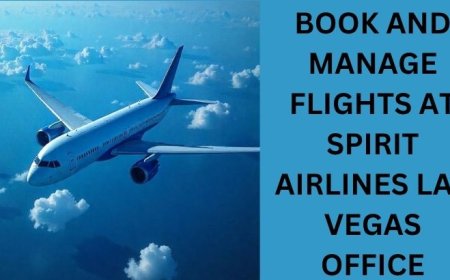 Plan Your Next Trip with the Spirit Airlines Las Vegas Office