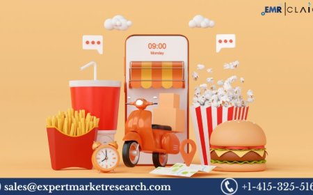 Vietnam Online Food Delivery Market Size, Trends & Forecast Insights 2025–2034