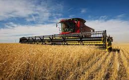 Agricultural Diesel Suppliers: Fueling the UK’s Farming Sector