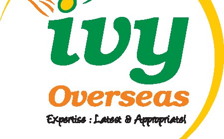 Best study abroad consultants in Hyderabad