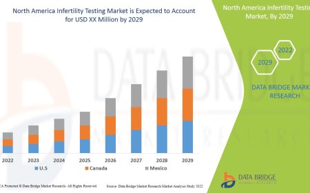 Rising Awareness and Advanced Diagnostics Drive North America Infertility Testing Market