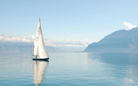 Why Savvy Sailors Prefer to Buy Sails Online – A Complete Guide