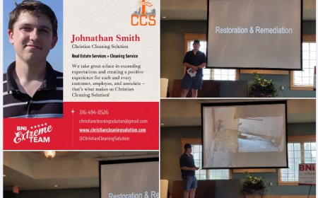 Complete Guide to Mold Removal Wichita KS: Protect Your Property and Health