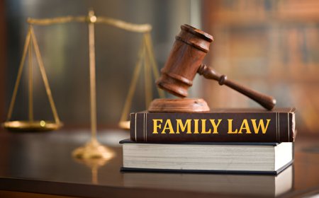 Understanding the Basics of Family Law