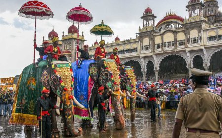 Explore the Best Karnataka Tour Packages for Every Traveler
