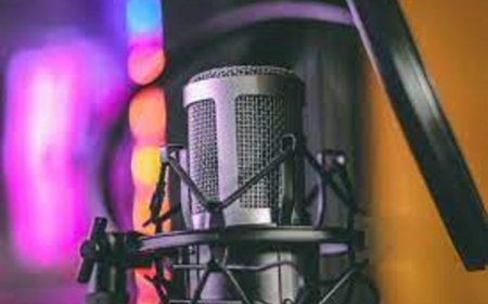 Who Should Use Danish Translation Services?