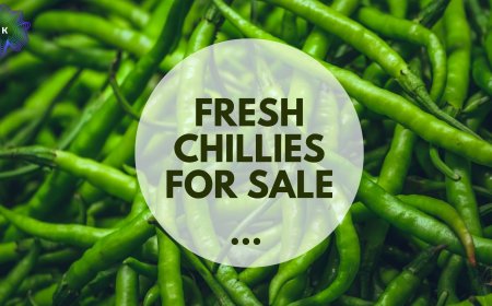 Fresh Chillies for Sale – Spicy Goodness Delivered to You
