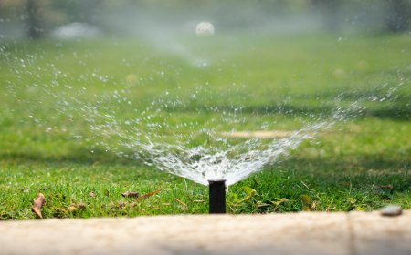 Signs Your Sprinkler System Might Be Leaking Underground
