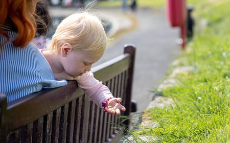 From Forest Floor to Classroom: The Rise of Nature-Inspired Nursery Schools