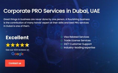 PRO Services in Dubai