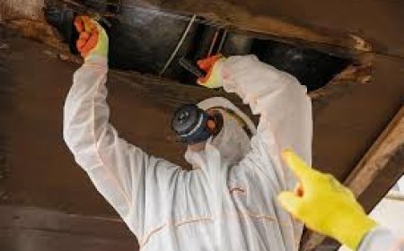 Asbestos Survey Glasgow: Do You Really Need One Before Renovating?