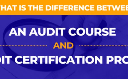 Strengthening Oversight with Audit Training Up skilling