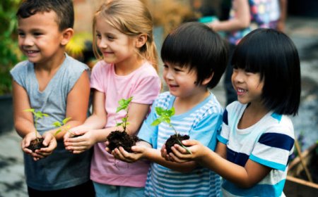 Learning Under the Sky: The Benefits of Forest School for Young Children