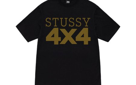 Why Everyone Loves Stussy T-Shirts A Fashion Analysis