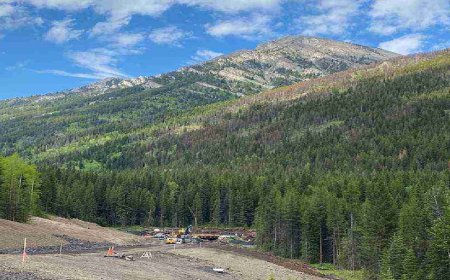 How Topographic Surveys Prevent Drainage Disasters