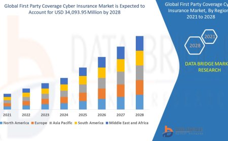 First Party Coverage Cyber Insurance Market Overview: Key Drivers and Challenges