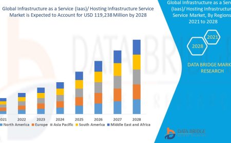 Infrastructure as a Service (Iaas)/ Hosting Infrastructure Service Market Overview: Key Drivers and Challenges
