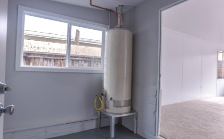 Protect Your Home: Expert Sump Pump Maintenance and Sewer Services in Mississauga & Milton