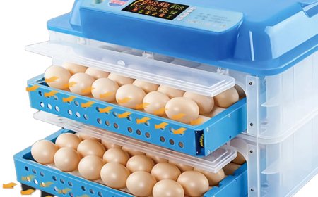 Incubation Parfaite : Comment Choisir la Bonne Couveuse pour Vos Œufs