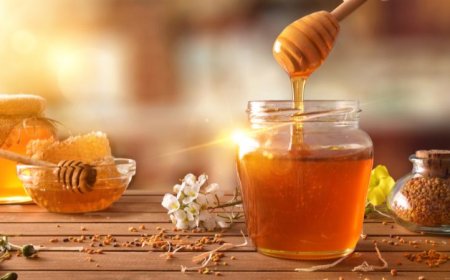 Colombia Honey Market Size, Trends & Growth 2025-2034