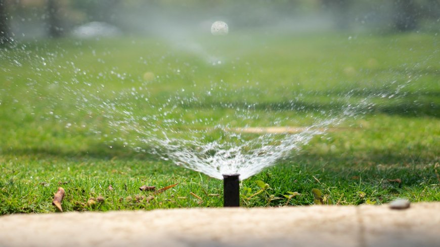Signs Your Sprinkler System Might Be Leaking Underground