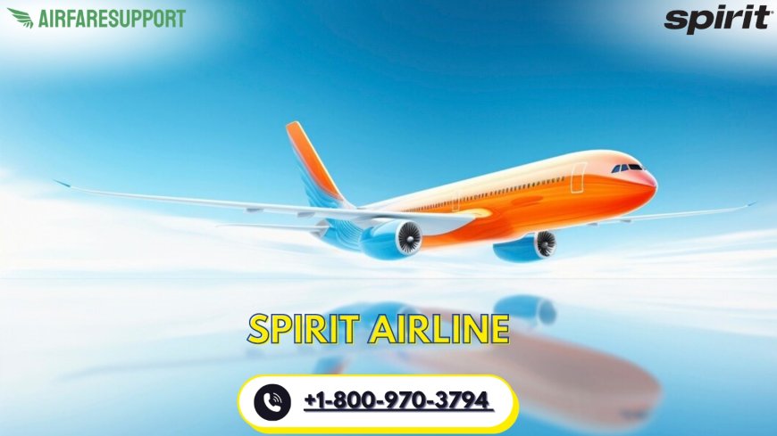 How Do I Talk to Someone at Spirit Airlines? Ideas Are Inside!