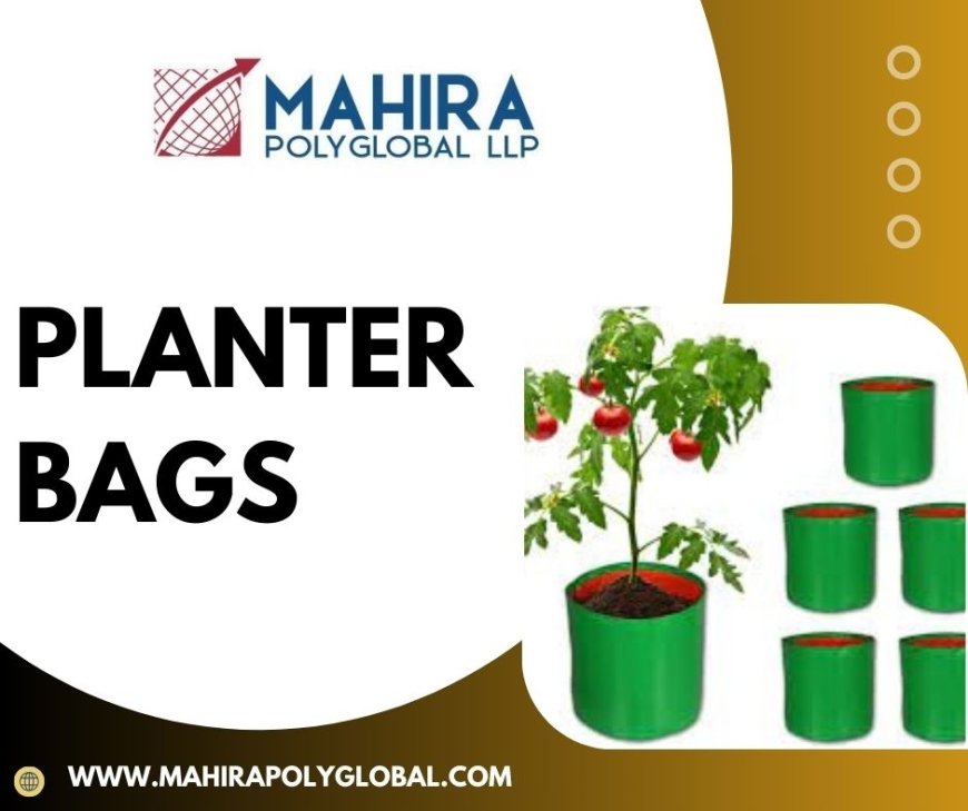 From Balcony to Backyard: Grow More with Planter Bags